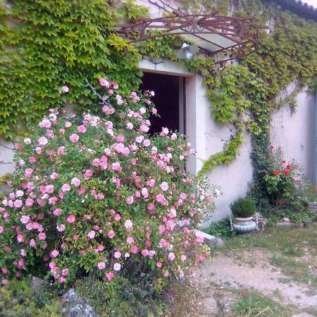 Le Domaine De Belle Bed & Breakfast LʼIsle-sur-la-Sorgue Exterior foto
