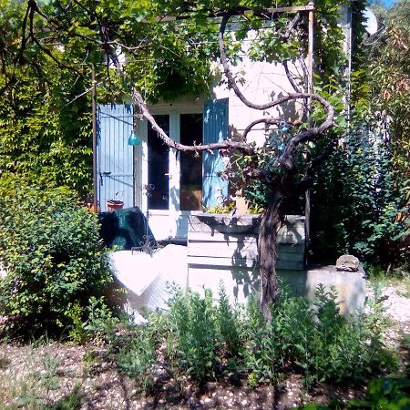 Le Domaine De Belle Bed & Breakfast LʼIsle-sur-la-Sorgue Exterior foto