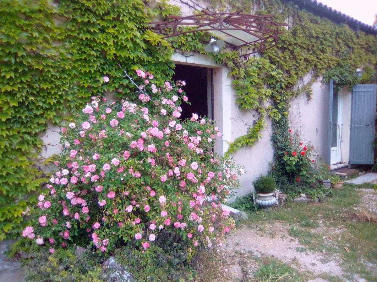 Le Domaine De Belle Bed & Breakfast LʼIsle-sur-la-Sorgue Exterior foto