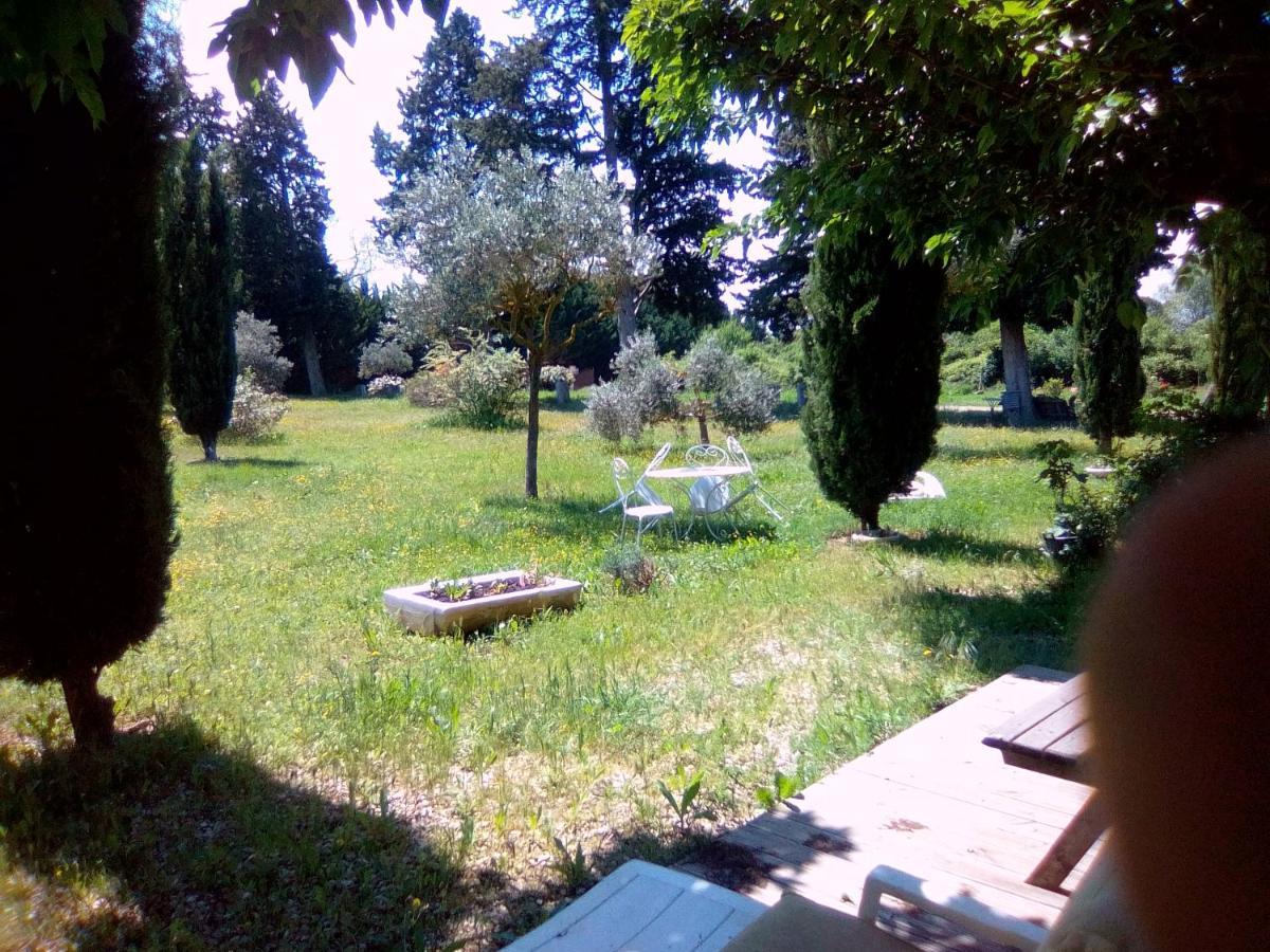 Le Domaine De Belle Bed & Breakfast LʼIsle-sur-la-Sorgue Exterior foto