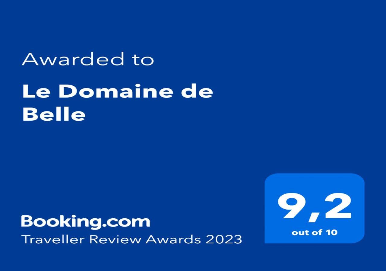 Le Domaine De Belle Bed & Breakfast LʼIsle-sur-la-Sorgue Exterior foto